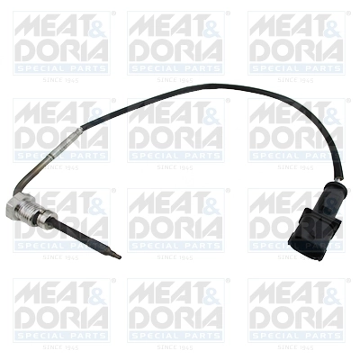 Sensor, exhaust gas temperature